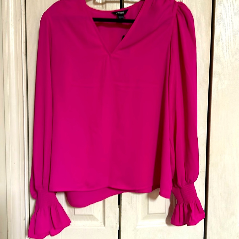 Express, long sleeve pink blouse, never worn with tags